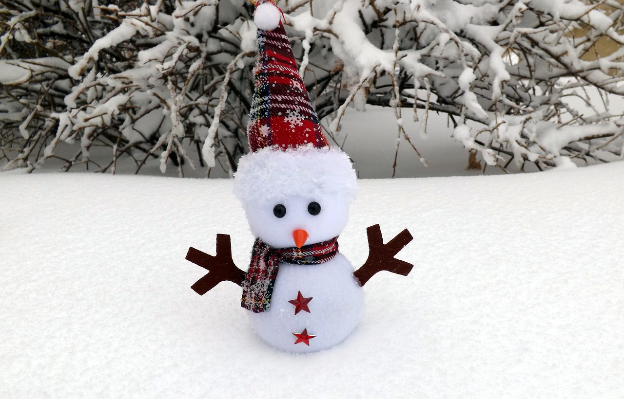 snowman-1145321_1280.jpg
